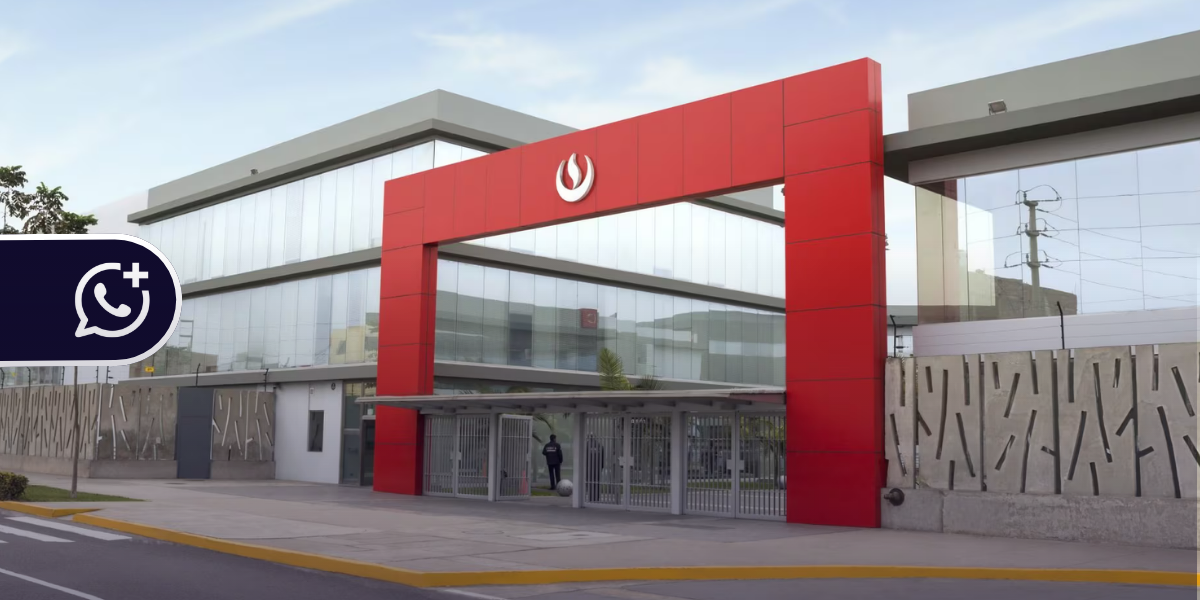 De 2.500 a 70.000 matrículas: cómo WeTALK usó WhatsApp para crecer | chattigo